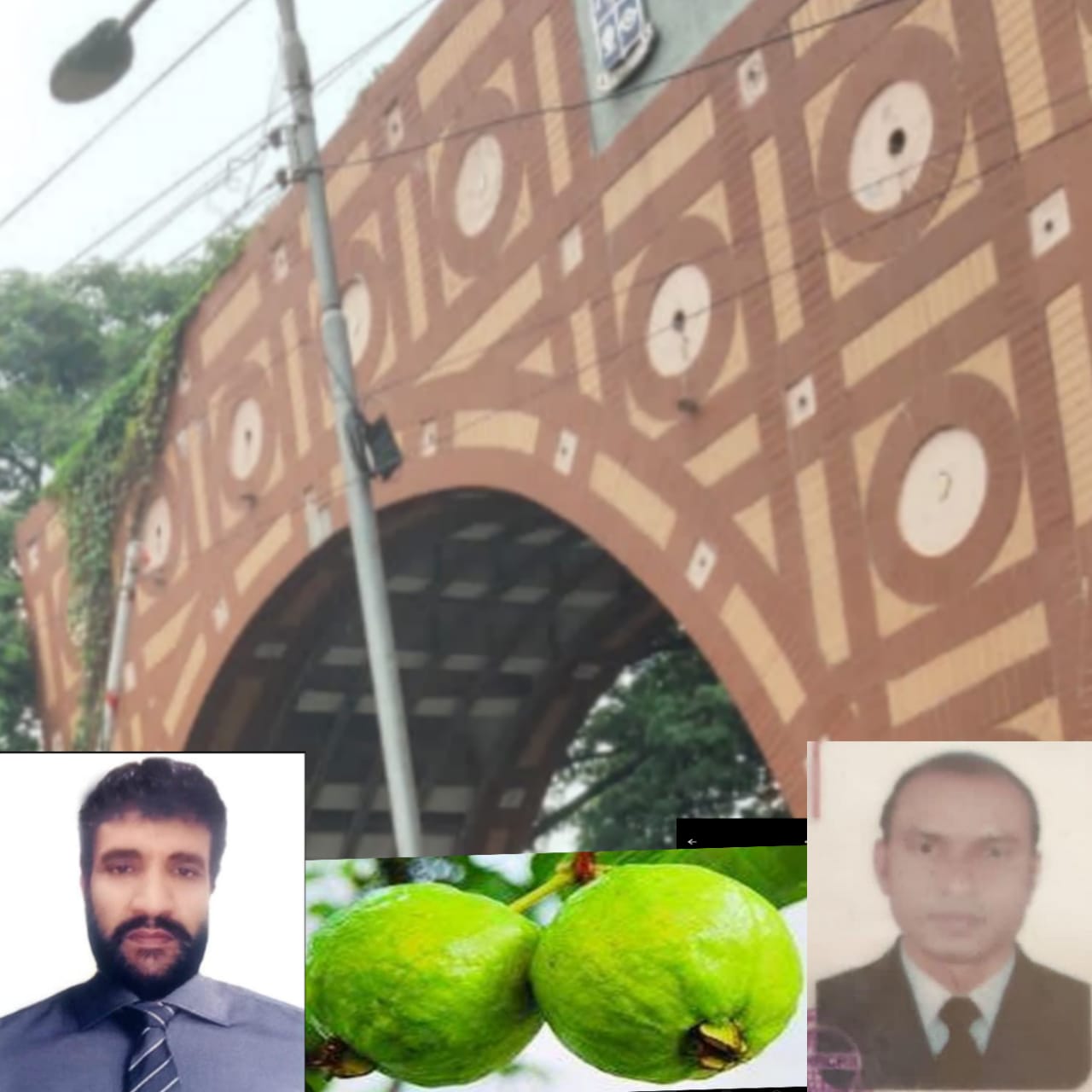 🕊️ ঢাকা বিশ্ববিদ্যালয় গেটে “মুচি মামার দোকানে সেই দেখা”