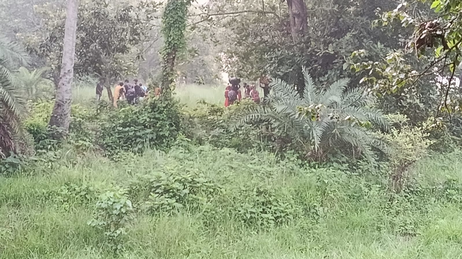 সীমান্তে ২৮ বাংলাদেশিকে ‘পুশ-ইন’ করল বিএসএফ